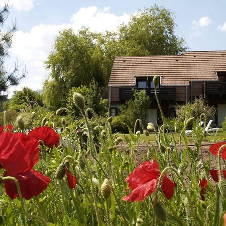 Alsace Village Obersteinbach Eksteriør bilde